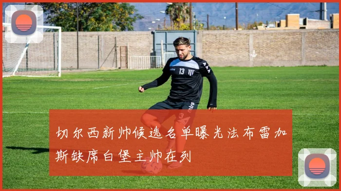 切尔西新帅候选名单曝光法布雷加斯缺席白堡主帅在列
