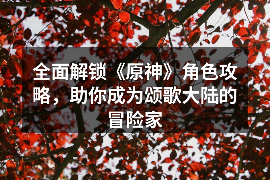 迪卢克技能展示